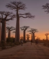 Développeurs Malgaches dans le Paysage Technologique Mondial